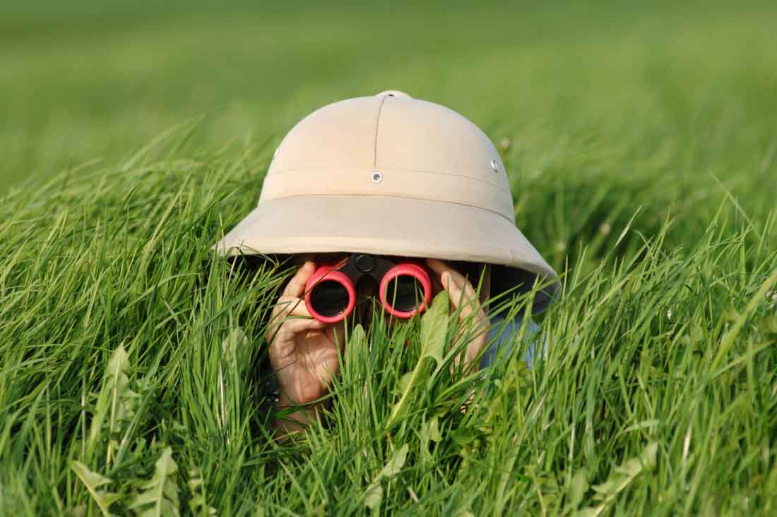 A person hidden in tall grass with binoculars to symbolize employers monitoring their employees.